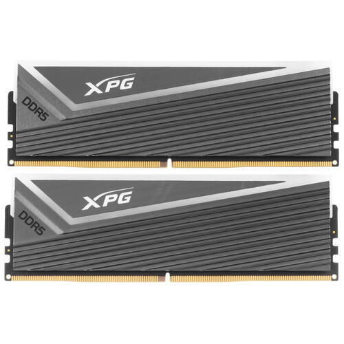 Купить Оперативная память ADATA XPG CASTER RGB [AX5U6000C3016G-DCCARGY] 32 ГБ  5091220. Характеристики, отзывы и цены в Донецке