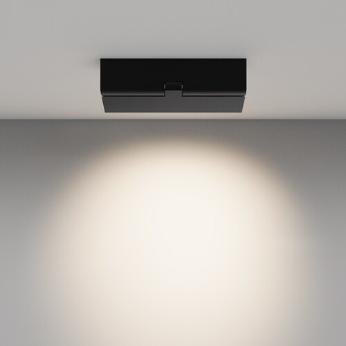 Купить Светильник потолочный Technical C136CL-12W4K-B черный/черный  9143095. Характеристики, отзывы и цены в Донецке