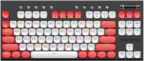 Купить Клавиатура проводная Panteon T20 PRO RS HS D [PANTEON T20 PRORSHSD (52)]  5483701. Характеристики, отзывы и цены в Донецке