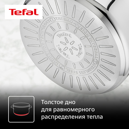 Купить Кастрюля Tefal Intuition G6 B8644674 5 л 24 см серебристый  1257352. Характеристики, отзывы и цены в Донецке