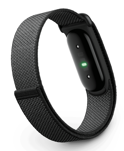 Купить Фитнес-браслет Google Fitbit Air  9382577. Характеристики, отзывы и цены в Донецке