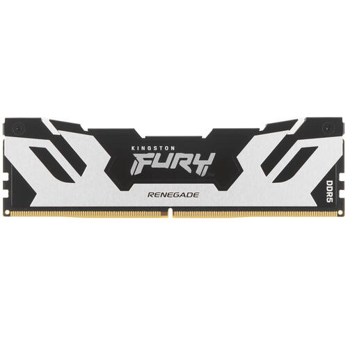 Купить Оперативная память Kingston FURY Renegade Silver [KF576C38RS-16] 16 ГБ  5436355. Характеристики, отзывы и цены в Донецке