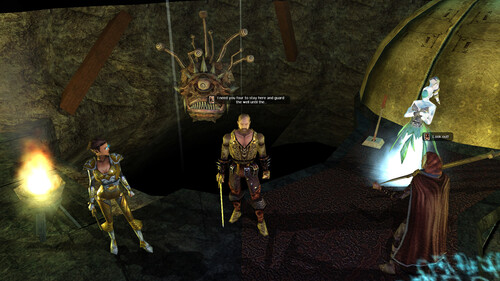 Купить Игра Neverwinter Nights: Enhanced Edition (Steam)  5634927. Характеристики, отзывы и цены в Донецке