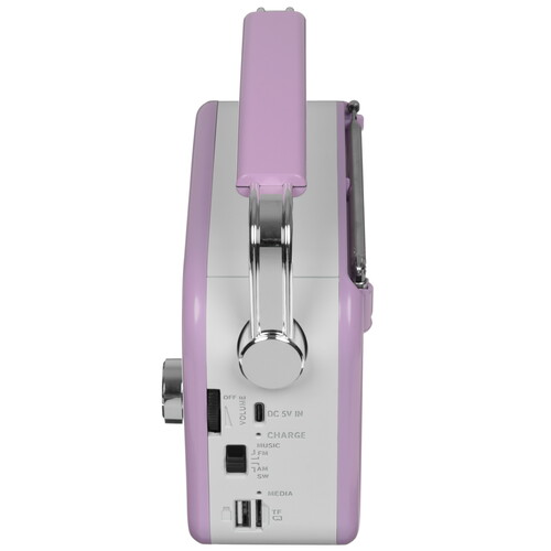 Купить Радиоприемник Ritmix RPR-045 сиреневый  9282251. Характеристики, отзывы и цены в Донецке