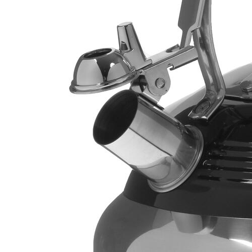 Купить Чайник для плиты Maunfeld MRK-119BK черный  4816621. Характеристики, отзывы и цены в Донецке