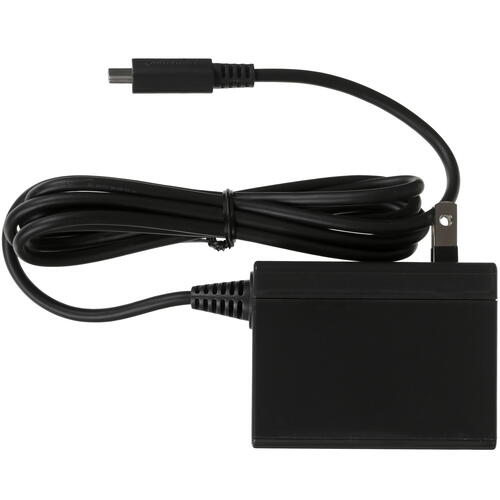 Купить Портативная игровая консоль Nintendo Switch Lite  5046283. Характеристики, отзывы и цены в Донецке