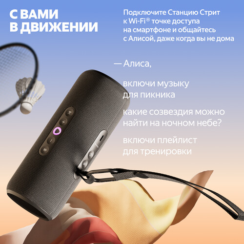 Купить Умная портативная колонка Яндекс Станция Стрит, черный  5626374. Характеристики, отзывы и цены в Донецке