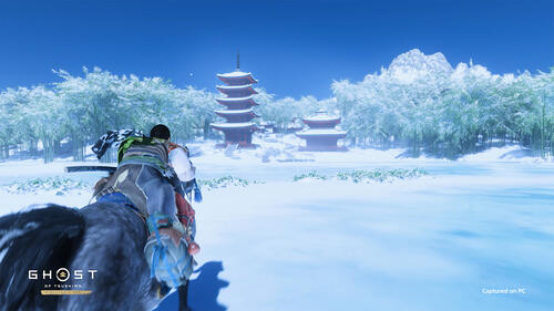 Купить Игра Ghost of Tsushima Director's Cut (Версия для РФ) (Steam)  5467644. Характеристики, отзывы и цены в Донецке