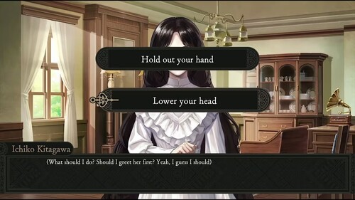 Купить Игра Iwakura Aria (Switch)  5635704. Характеристики, отзывы и цены в Донецке