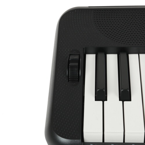 Купить Синтезатор CASIO Casiotone CT-S300  1605484. Характеристики, отзывы и цены в Донецке