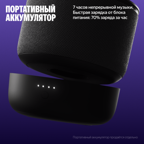 Купить Умная колонка Яндекс Станция Мини 3 Про черный  5632411. Характеристики, отзывы и цены в Донецке