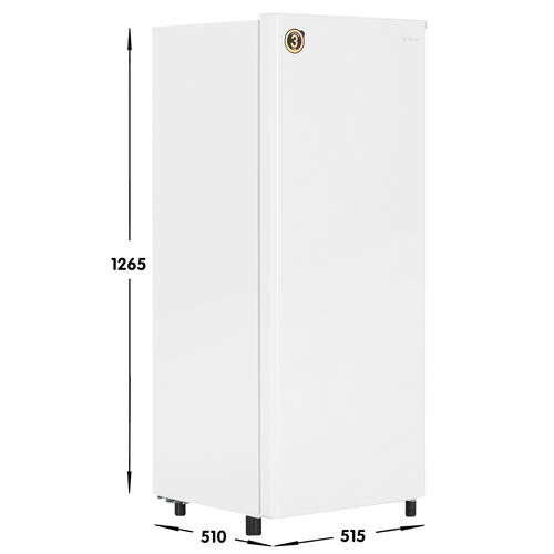 Купить Холодильник компактный   DEXP S2-17AHE белый  5413153. Характеристики, отзывы и цены в Донецке