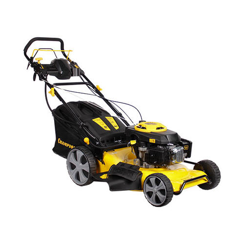Купить Газонокосилка бензиновая Champion LM5346E  5313642. Характеристики, отзывы и цены в Донецке