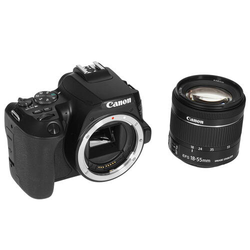 Купить Зеркальный фотоаппарат Canon EOS 250D Kit 18-55mm IS STM черный  5068854. Характеристики, отзывы и цены в Донецке