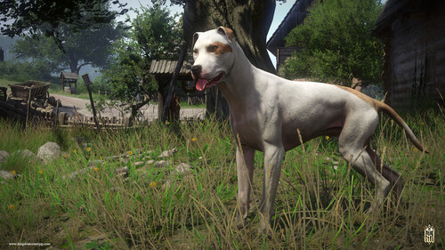Купить Дополнение для игры Kingdom Come: Deliverance - A Woman's Lot (Steam)  5601572. Характеристики, отзывы и цены в Донецке