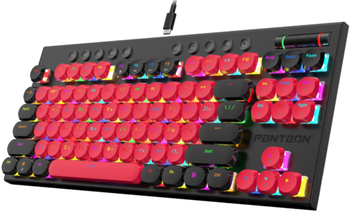 Купить Клавиатура проводная Panteon T20 PRO BS HS D [PANTEON T20 PROBSHSD (55)]  5483700. Характеристики, отзывы и цены в Донецке