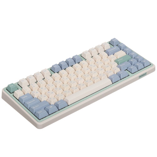 Купить Клавиатура проводная + беспроводная Varmilo VXT81 Eucalyptus  5486652. Характеристики, отзывы и цены в Донецке
