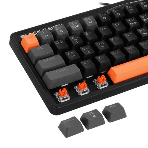 Купить Клавиатура  проводная Defender Black Raven GK-417  5413472. Характеристики, отзывы и цены в Донецке