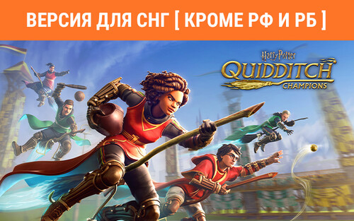 Купить Игра Harry Potter: Quidditch Champions (Steam)  5489308. Характеристики, отзывы и цены в Донецке