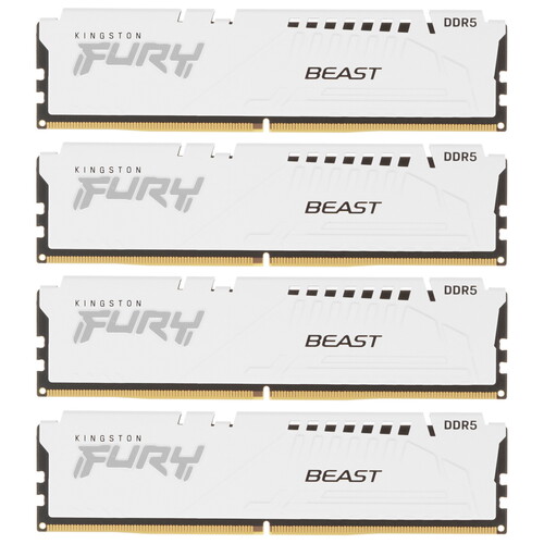Купить Оперативная память Kingston FURY Beast White [KF556C40BWK4-64] 64 ГБ  5436432. Характеристики, отзывы и цены в Донецке