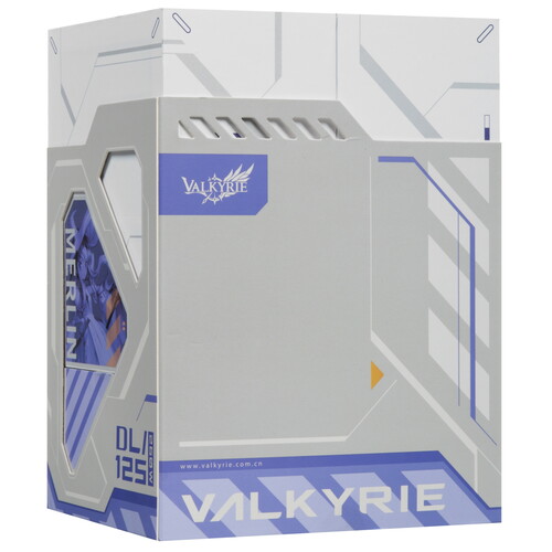 Купить Кулер для процессора Valkyrie DL125 Merlin  5487767. Характеристики, отзывы и цены в Донецке