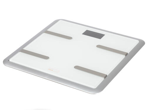 Купить Весы Beurer BG 900 белый  6728626. Характеристики, отзывы и цены в Донецке