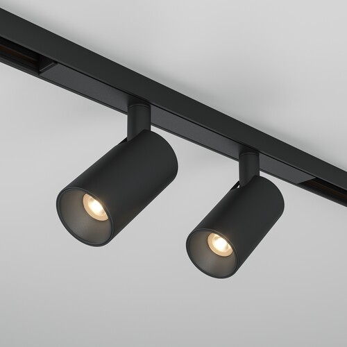 Купить Светильник трековый Maytoni TR176-1-2X5WTW-M-B  9169782. Характеристики, отзывы и цены в Донецке