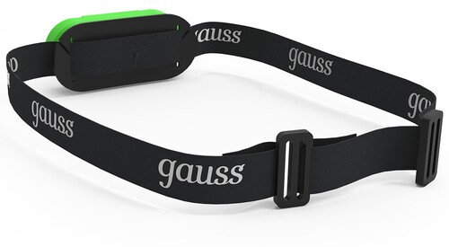 Купить Фонарь Gauss GFL408  9174974. Характеристики, отзывы и цены в Донецке