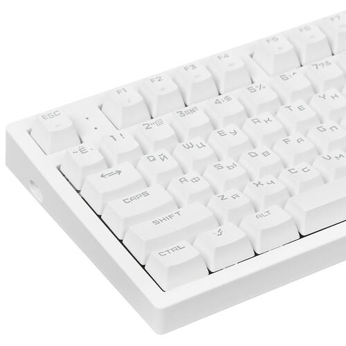 Купить Клавиатура проводная ARDOR GAMING Immortality TKL [AG-FL-IM87GY-W]  5068375. Характеристики, отзывы и цены в Донецке