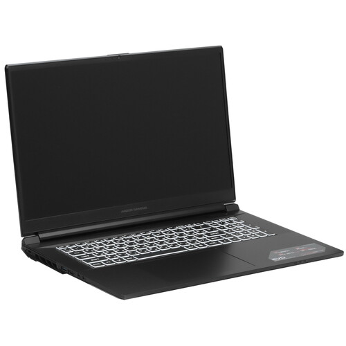 Купить 17.3" Ноутбук ARDOR Gaming EVO E17-I7ND402 черный  9083821. Характеристики, отзывы и цены в Донецке
