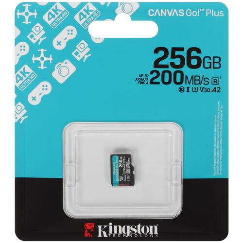 Купить Карта памяти Kingston Canvas Go! Plus microSDXC 256 ГБ  5632478. Характеристики, отзывы и цены в Донецке