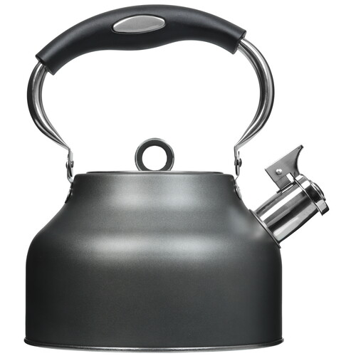 Купить Чайник для плиты Regent inox TEA 93-TEA-49 серый  5464013. Характеристики, отзывы и цены в Донецке