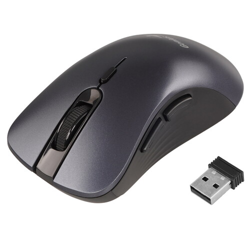 Купить Мышь беспроводная Genius Ergo 8100S  9140285. Характеристики, отзывы и цены в Донецке