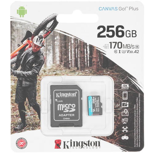 Купить Карта памяти Kingston Canvas Go! Plus microSDXC 256 ГБ [SDCG3/256GB]  4716407. Характеристики, отзывы и цены в Донецке