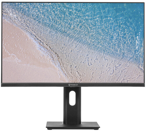 Купить 23.8" Монитор Raskat I24F10DAP черный  5456904. Характеристики, отзывы и цены в Донецке