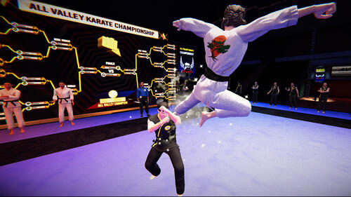 Купить Игра Cobra Kai 2: Dojos Rising (Switch)  5091500. Характеристики, отзывы и цены в Донецке