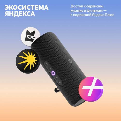 Купить Умная портативная колонка Яндекс Станция Стрит, черный  5626374. Характеристики, отзывы и цены в Донецке