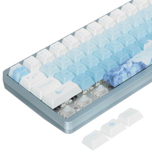 Купить Клавиатура  проводная Varmilo Muse 65 Ariel  5486630. Характеристики, отзывы и цены в Донецке