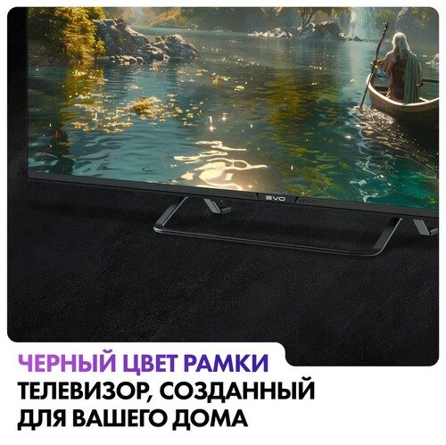 Купить 55" (139 см) Телевизор EVO TV 55 черный  5607218. Характеристики, отзывы и цены в Донецке
