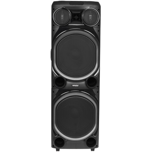 Купить Портативная аудиосистема GiNZZU GM-204, черный  9235956. Характеристики, отзывы и цены в Донецке