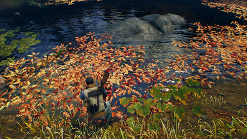 Купить Игра Open Country (Steam)  5622374. Характеристики, отзывы и цены в Донецке