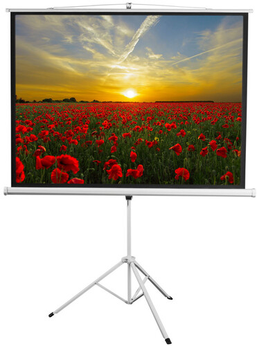 Купить 120" Экран для проектора Digis Kontur-D DSKD-4304  1626401. Характеристики, отзывы и цены в Донецке