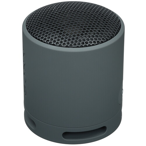 Купить Портативная колонка Sony SRS-XB100, черный  5605588. Характеристики, отзывы и цены в Донецке