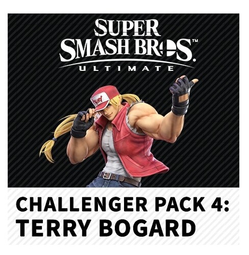 Купить Дополнение для игры Super Smash Bros. Ultimate – Terry Bogard (Switch)  4836980. Характеристики, отзывы и цены в Донецке