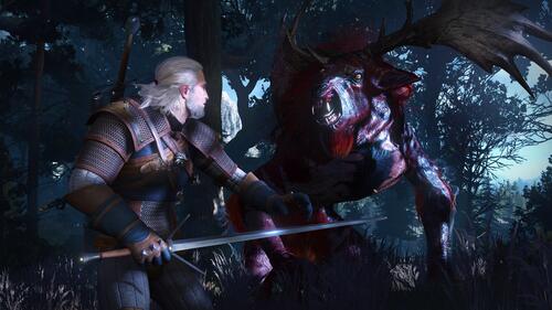 Купить Игра The Witcher 3: Wild Hunt (Switch)  5091505. Характеристики, отзывы и цены в Донецке