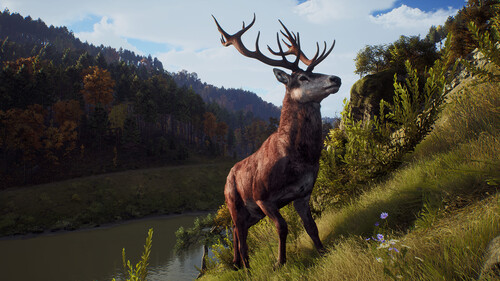Купить Игра Way of the Hunter Elite Edition (Steam)  5484584. Характеристики, отзывы и цены в Донецке