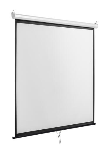 Купить 136" Экран для проектора DEXP WM-96  5406737. Характеристики, отзывы и цены в Донецке