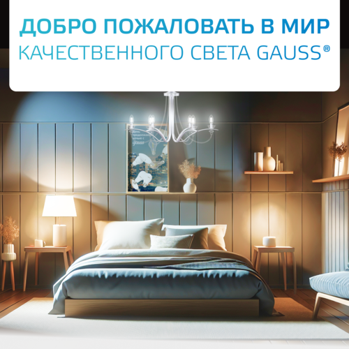 Купить Комплект филаментных ламп Gauss Filament Elementary 52222  5613132. Характеристики, отзывы и цены в Донецке