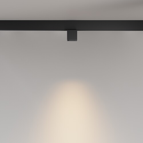 Купить Светильник трековый Maytoni TR133-2-7W3K-B  9169362. Характеристики, отзывы и цены в Донецке