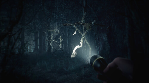Купить Игра Blair Witch (Steam)  5618266. Характеристики, отзывы и цены в Донецке